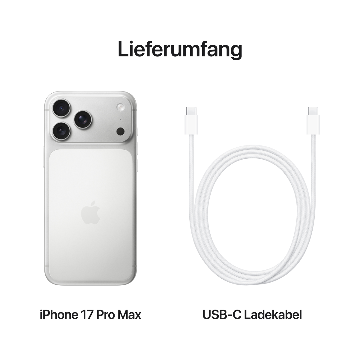 Bild von iPhone 17 Pro Max 256GB Silber