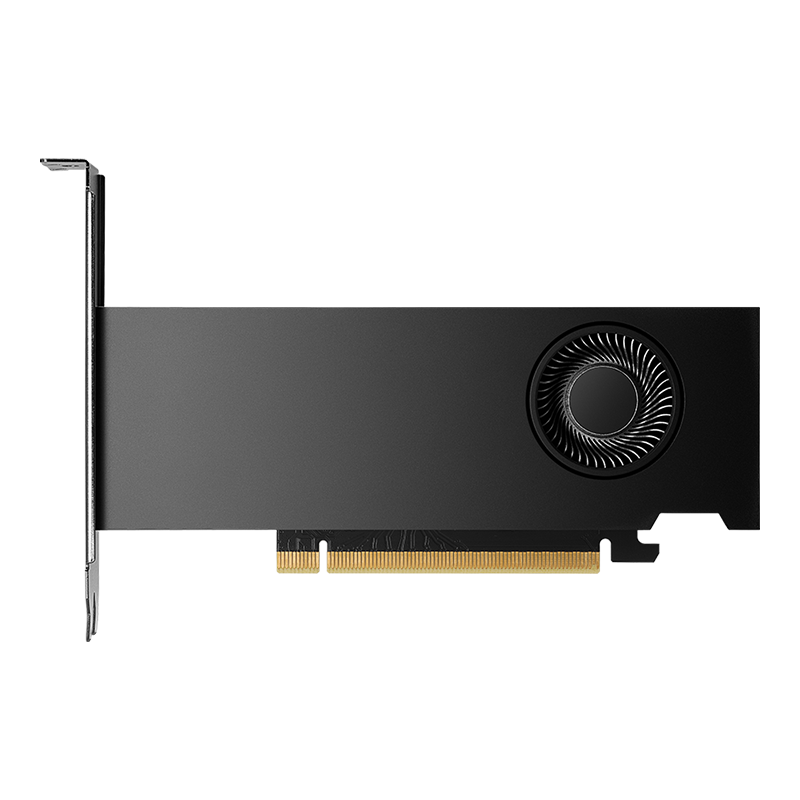 Bild von NVIDIA RTX 2000 Ada Generation