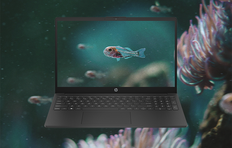 HP 250 G10 853S1ES_15