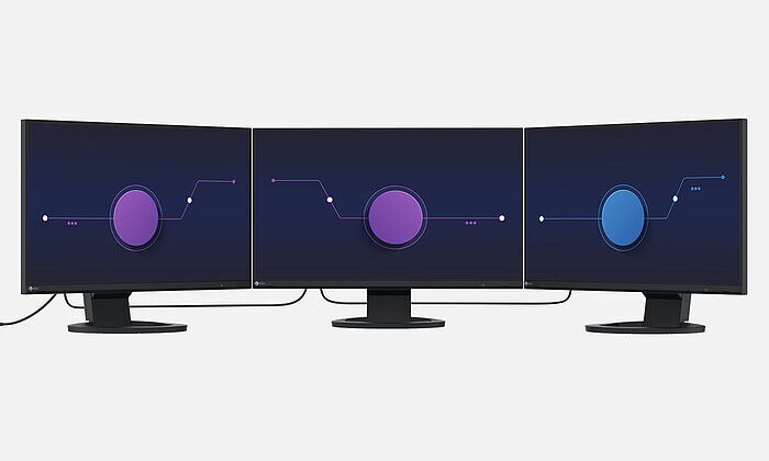 Eizo FlexScan EV2495-WT - IPS, Höhenverstellung, DisplayPort_4