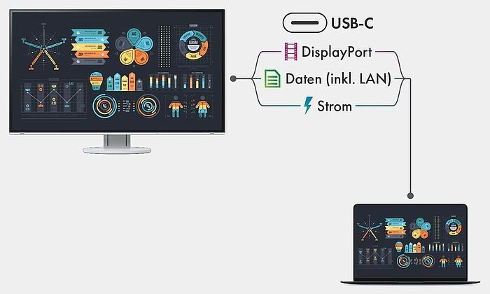 Eizo FlexScan EV2495-WT - IPS, Höhenverstellung, DisplayPort_2
