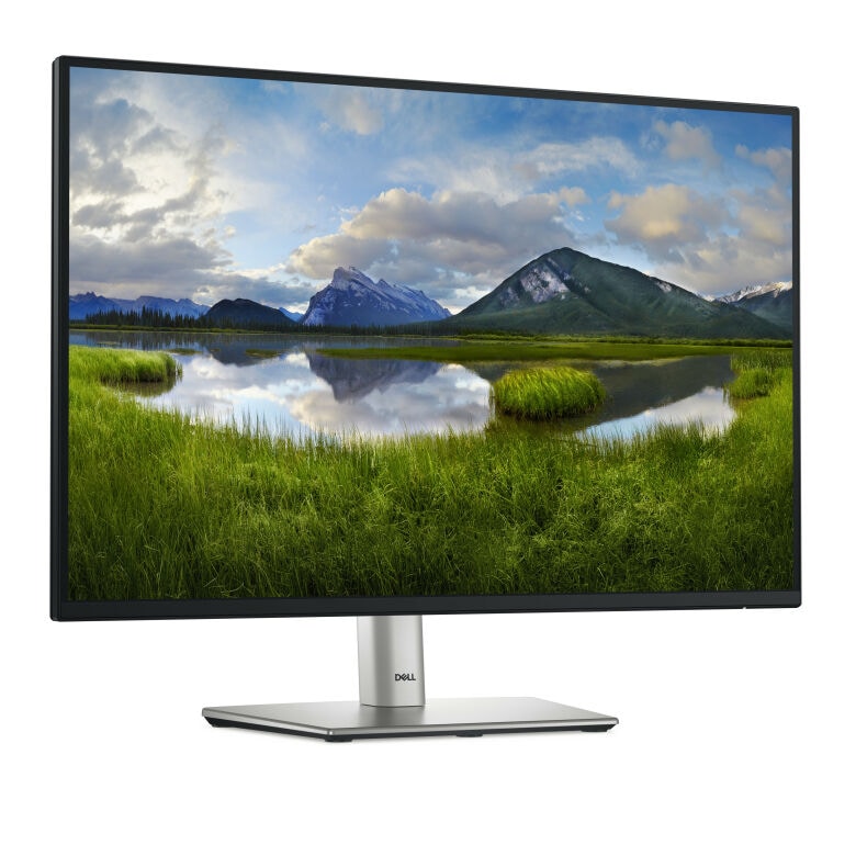 DELL P2225H Office Monitor_1