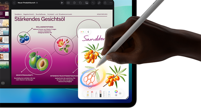 Apple iPad Pro 11 Wi-Fi 1TB Space Schwarz M5_2