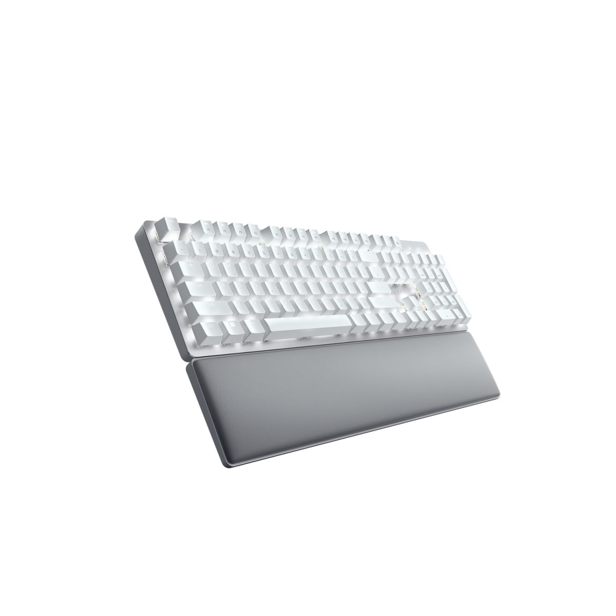 Bild von Razer Pro Type Ultra Tastatur