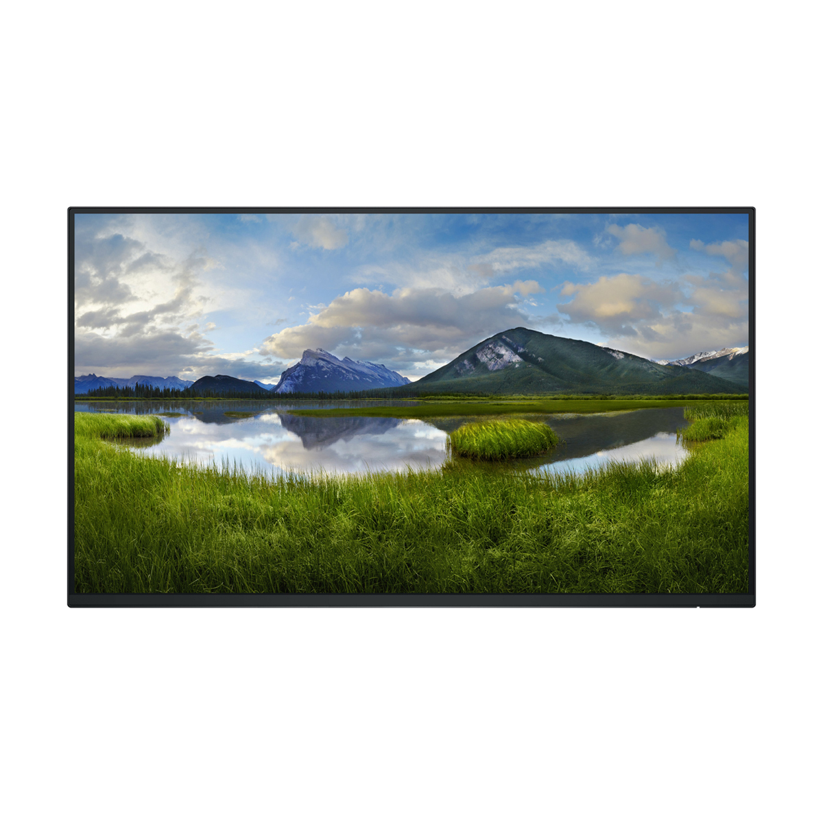 Bild von DELL P2425H WOST Office Monitor IPS, 61,13 cm (24,07 Zoll), LED, 1x HDMI, 1x DP, 1x VGA, USB-Hub